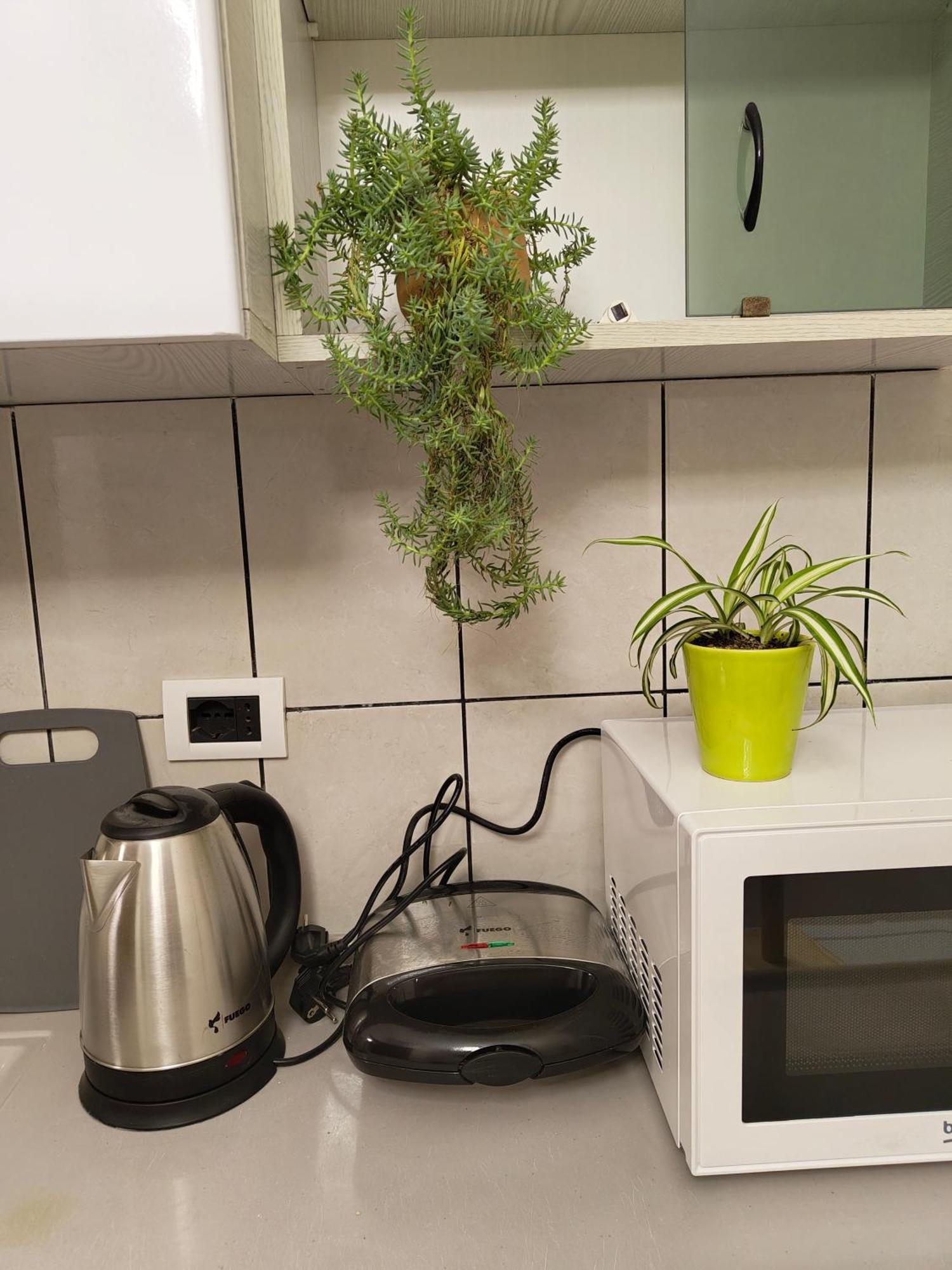 Erli Apartment Σκόδρα Εξωτερικό φωτογραφία